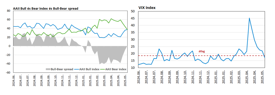 AAII_VIX20250526