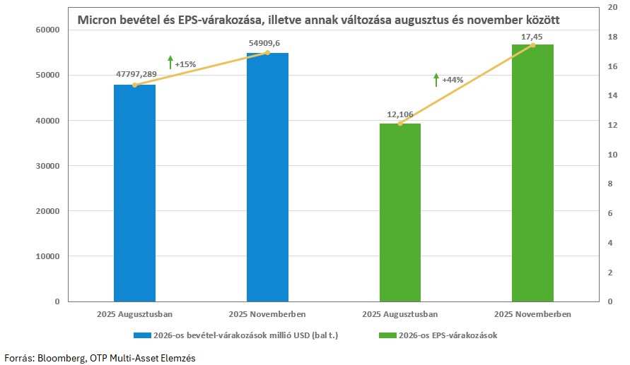 Micron-varakozasok-20251119
