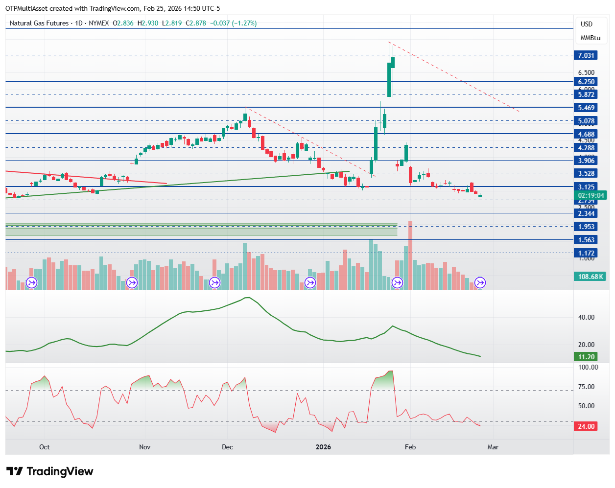 NG1!_2026-02-25_20-50-55