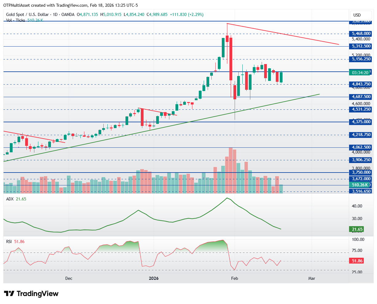 XAUUSD_2026-02-18_19-25-40