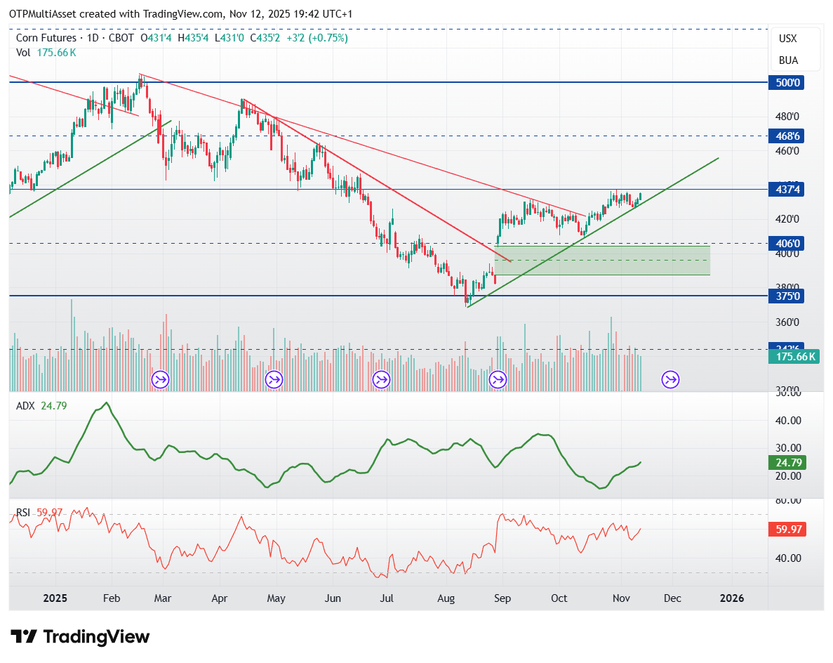 ZC1!_2025-11-12_19-42-13
