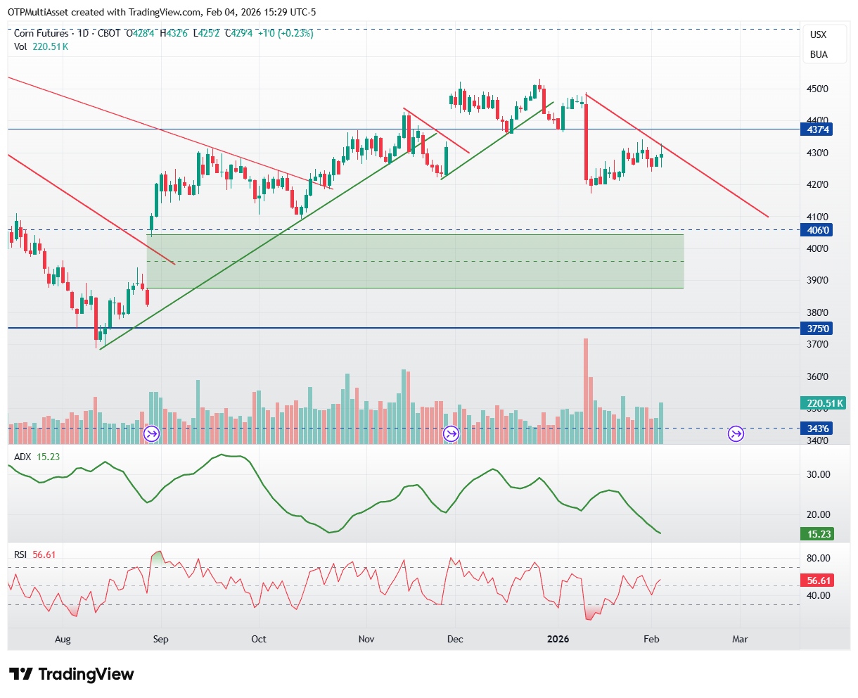 ZC1!_2026-02-04_21-29-15