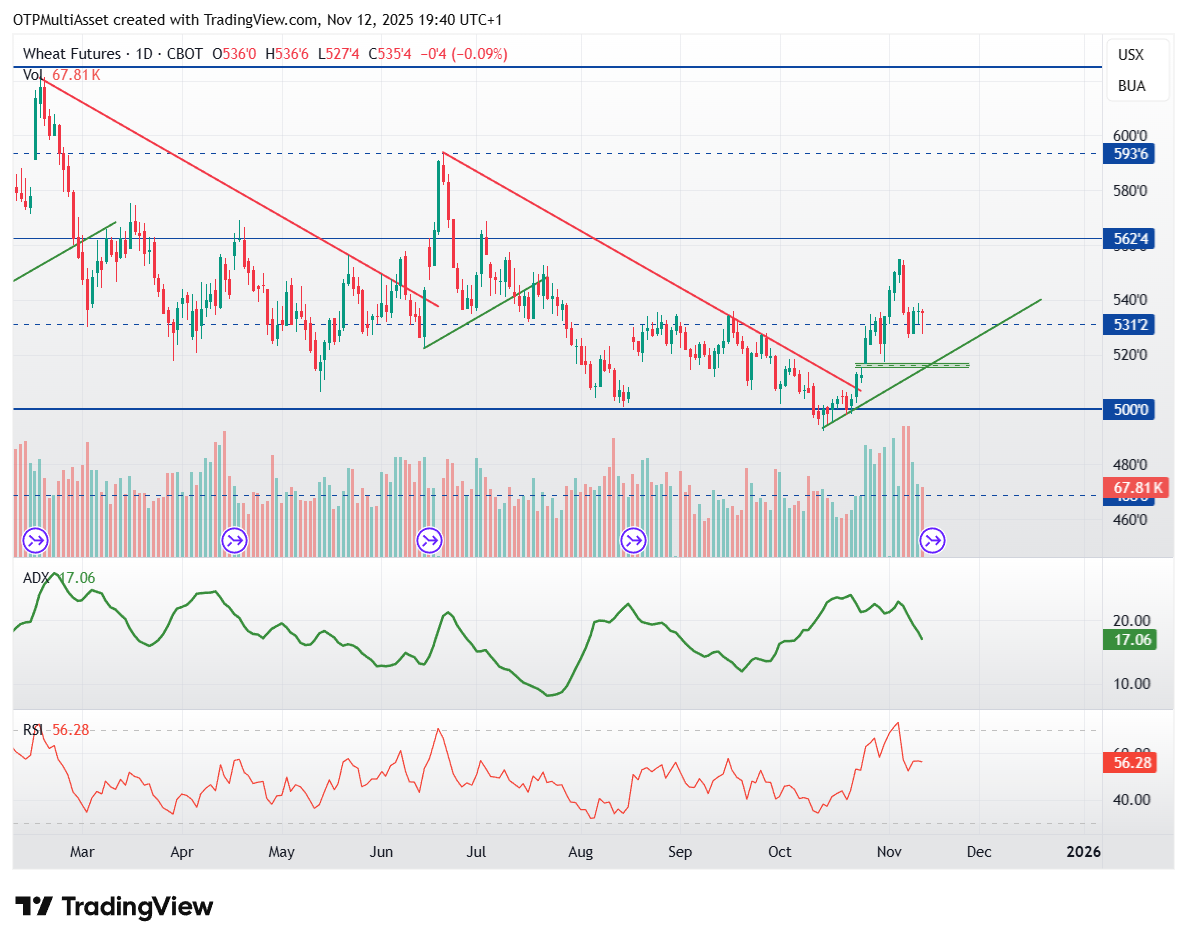 ZW1!_2025-11-12_19-40-47