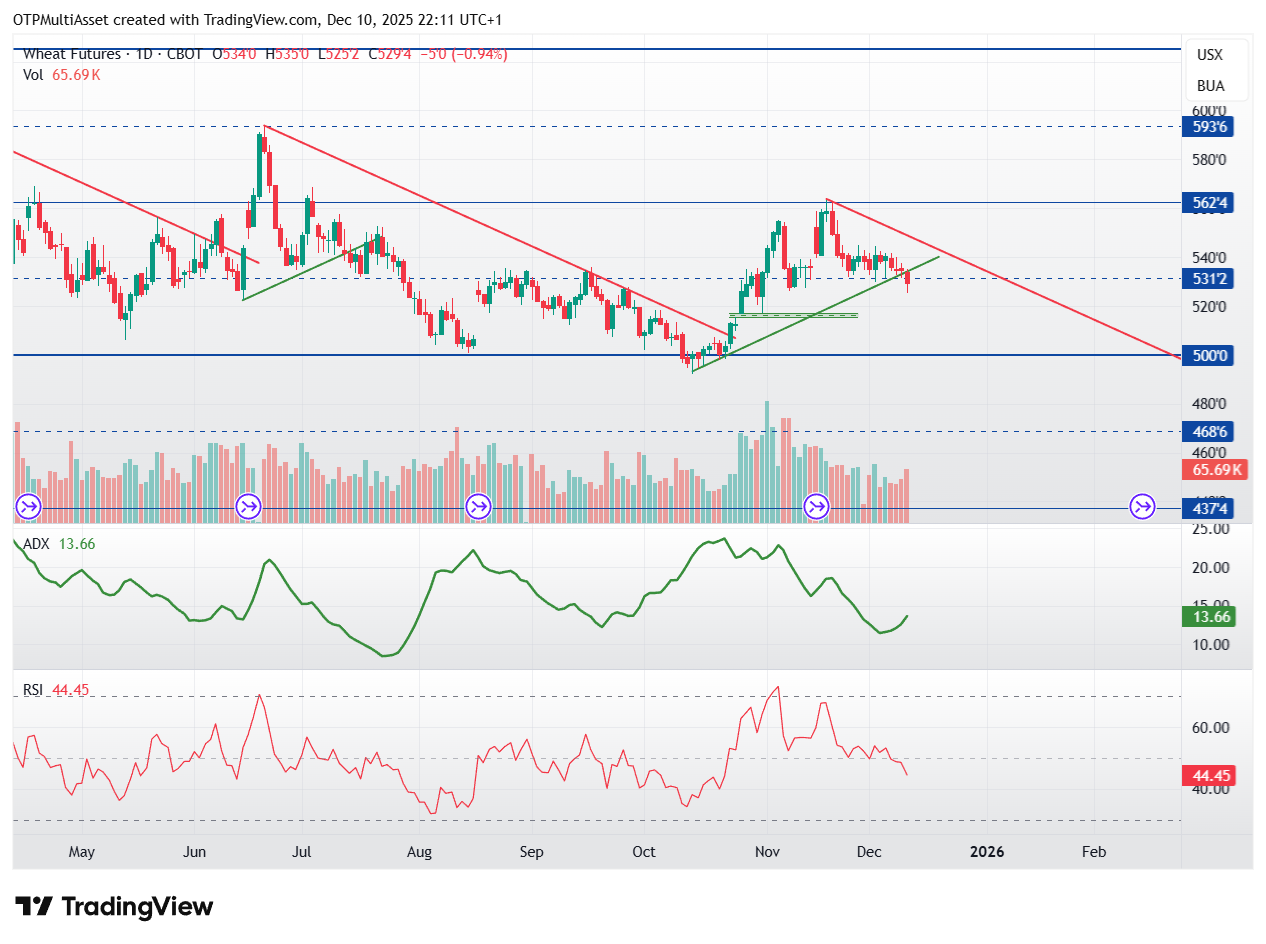 ZW1!_2025-12-10_22-11-51