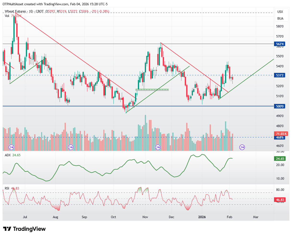 ZW1!_2026-02-04_21-28-49