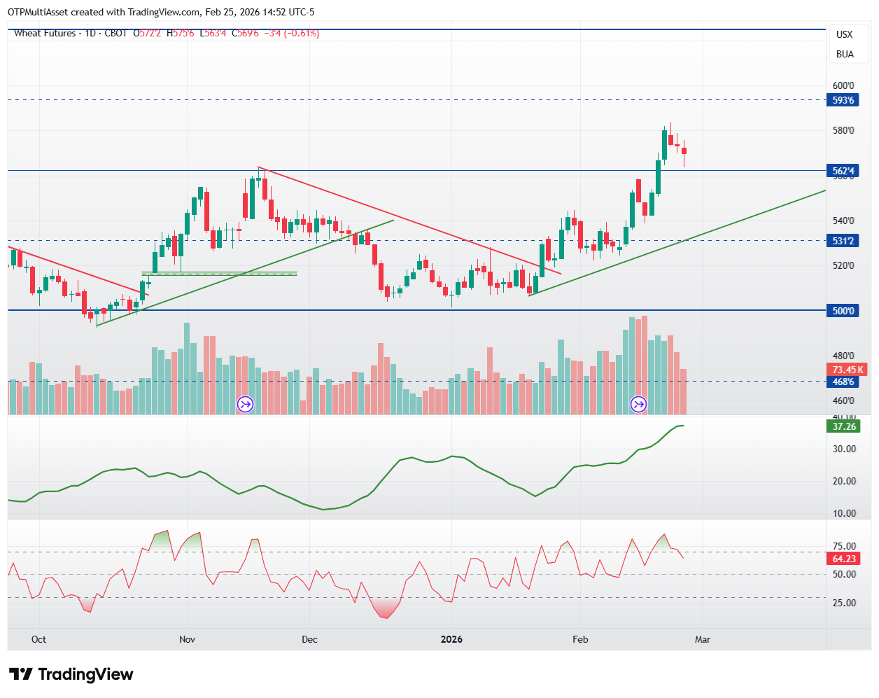 ZW1!_2026-02-25_20-52-05