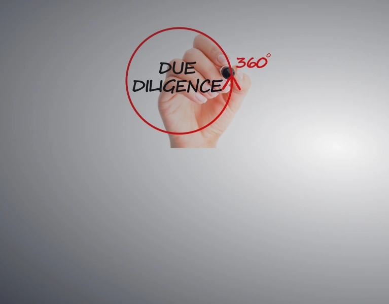 Due Diligence információk