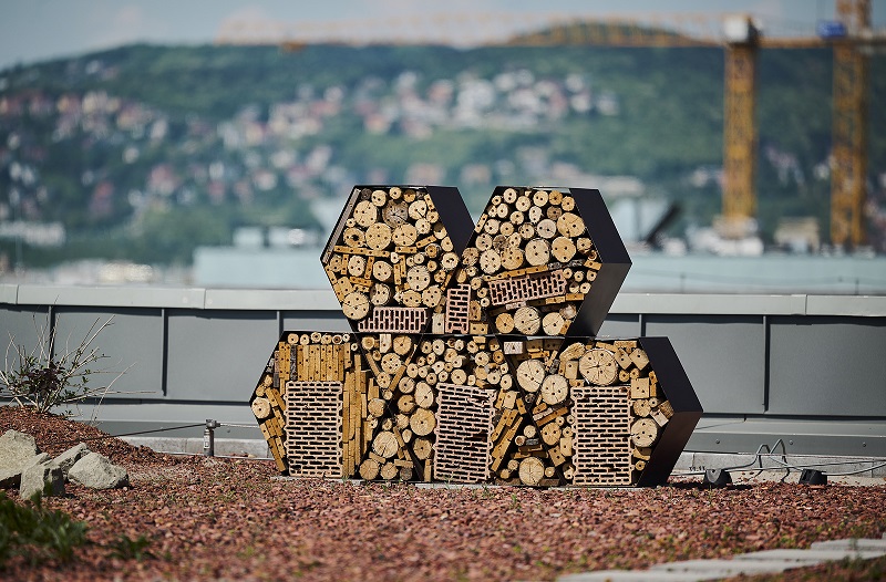 M12 tetőkert