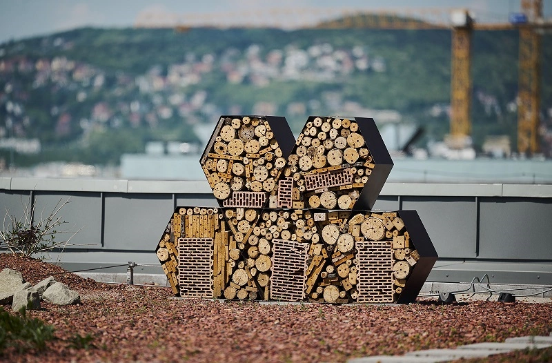 M12 tetőkert